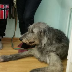 ГКОУ СО “Черноусовская школа-интернат”