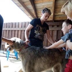 Невероятное мероприятие!